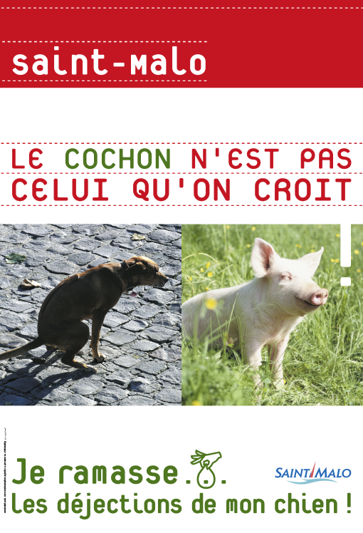 affiche Le cochon n'est pas celui qu'on croit!